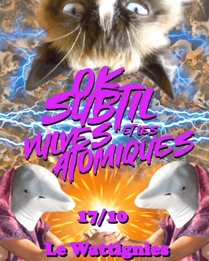 OK Subtil et les Vulves Atomiques