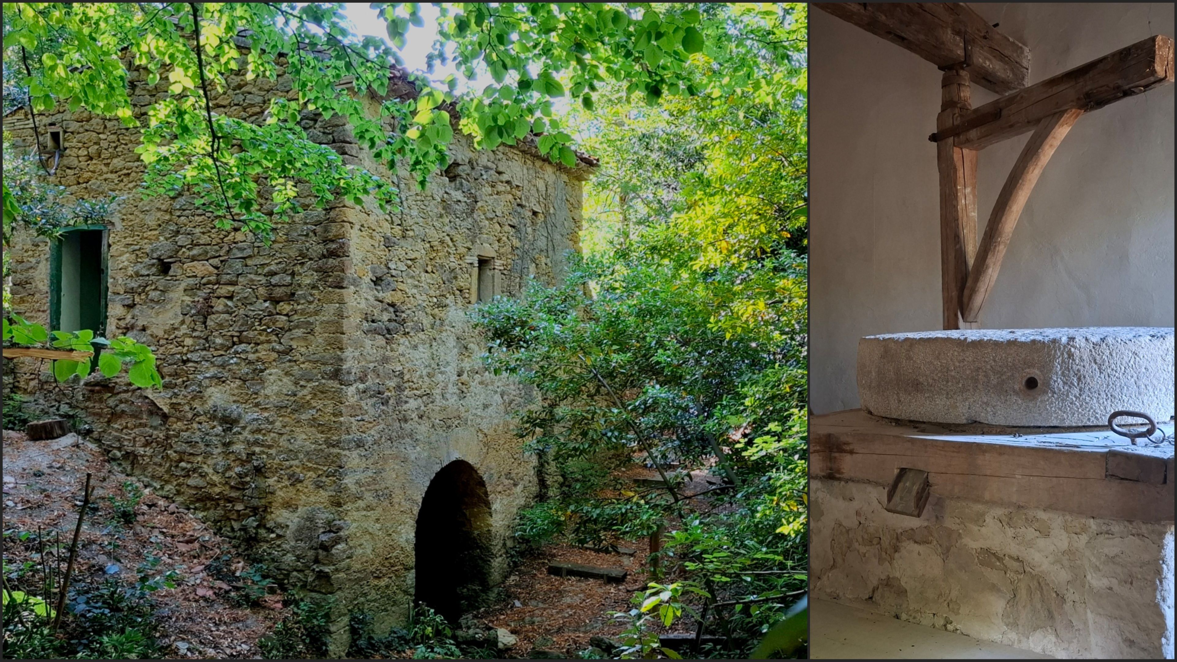 Visite commentée du site, moulin à eau, clairière des chênes, théatre de verdure.