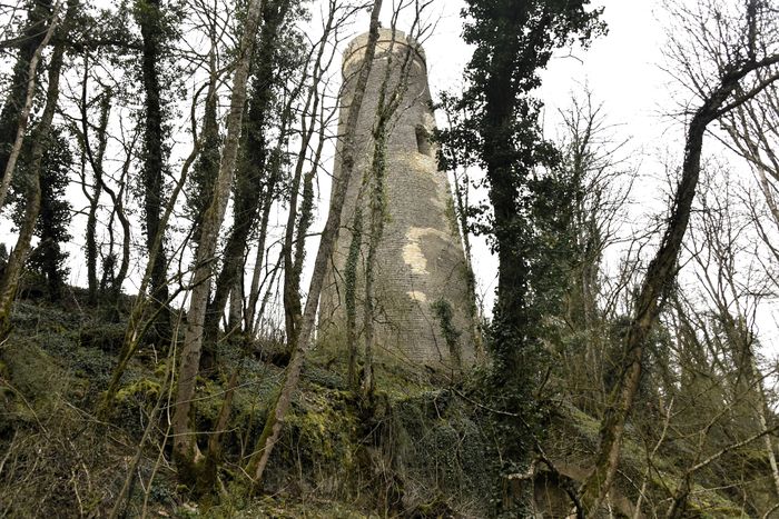 Visite de la Tour de Saussy