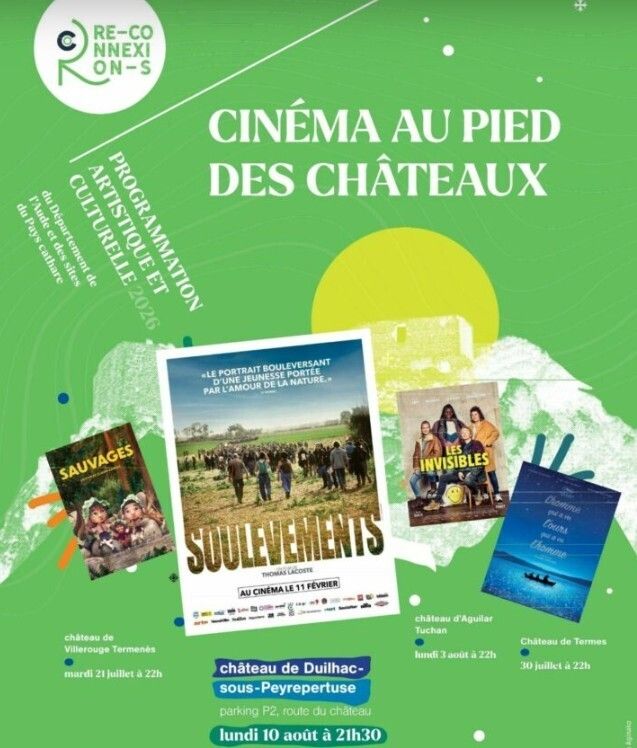 Ciné en plein air avec vue sur le château de Peyrepertuse illuminé