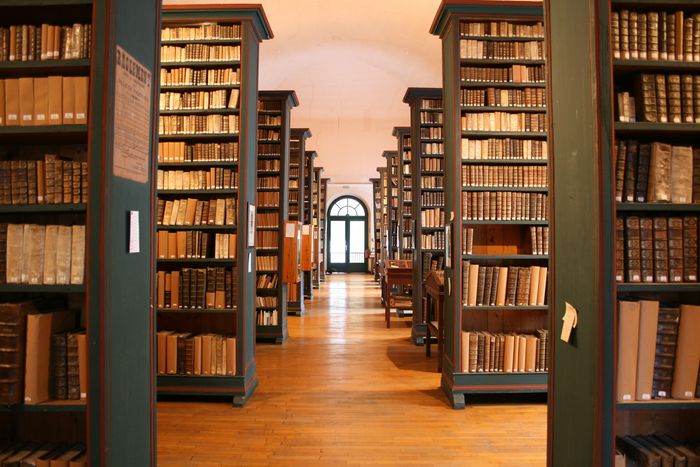 Visite guidée du fonds ancien