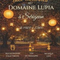 Soirée aux lanternes au Domaine Lupia