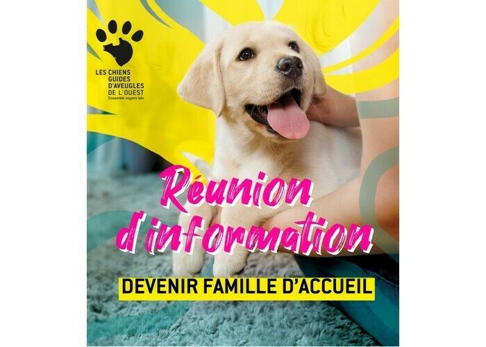 Devenez famille d’accueil d’un futur chien guide