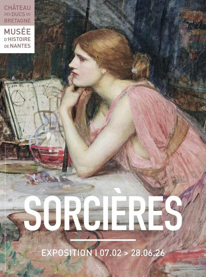 Anatomie d’une psychose collective : la chasse aux sorcières (15e-18e siècles) - Conférence par Ludovic VIALLET