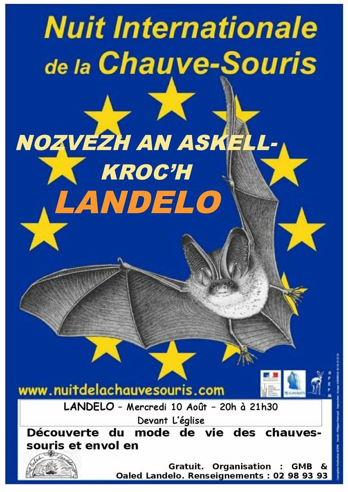 Nuit internationale de la chauve-souris
