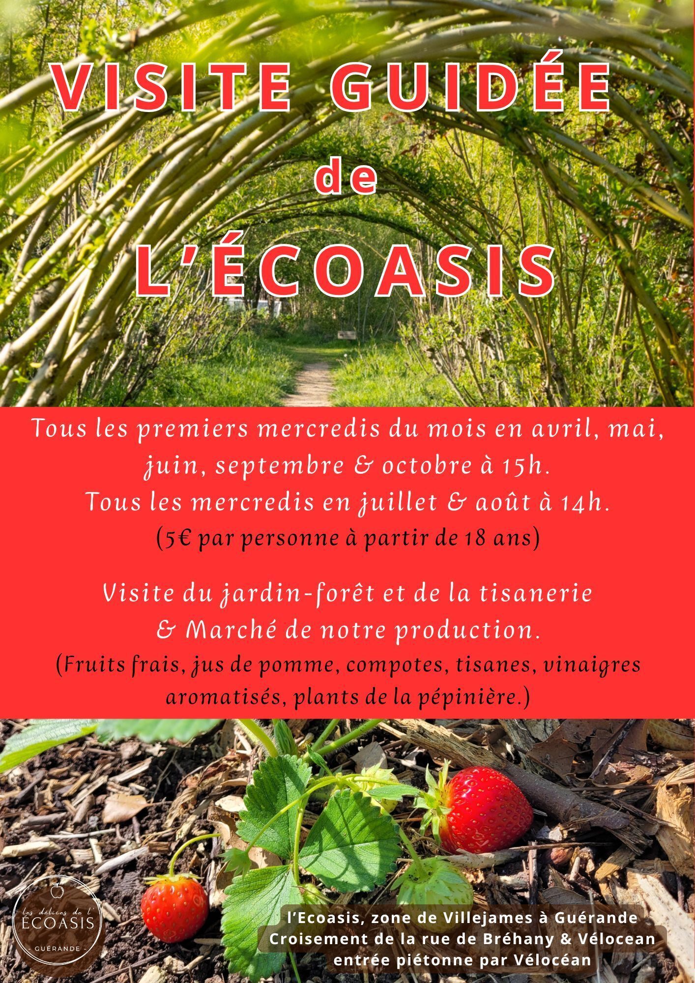 Visite guidée de l'Ecoasis