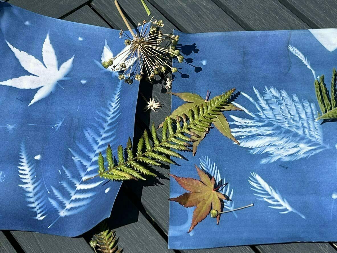 Découvrez la technique du cyanotype