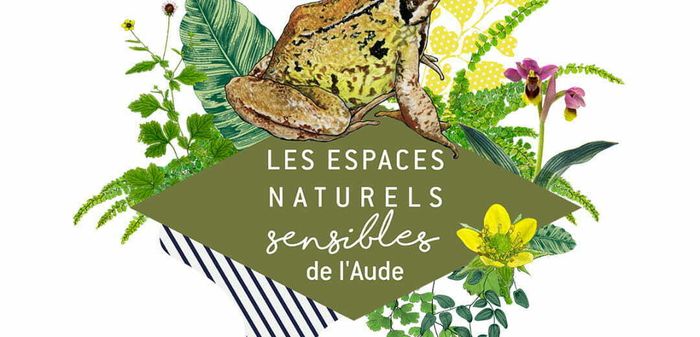 ENS - La lagune de Sigean à la rame