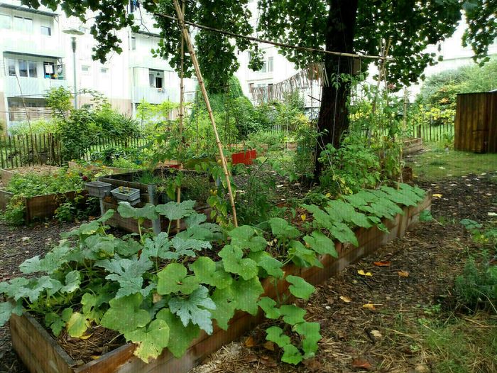 Atelier jardinage de saison au jardin de la rue Dullin