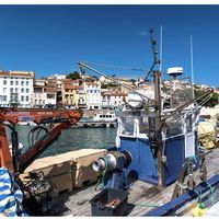 Visite guidée Port-Vendres - Voyage autour du port