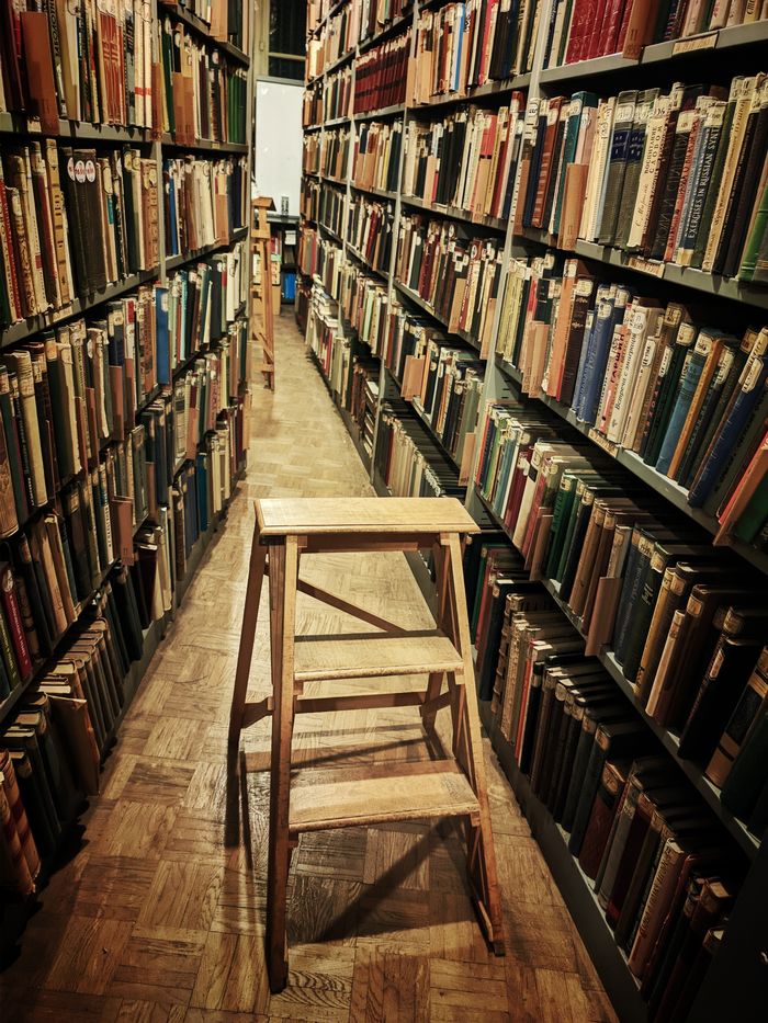 Première connaissance avec la Bibliothèque Touguenev