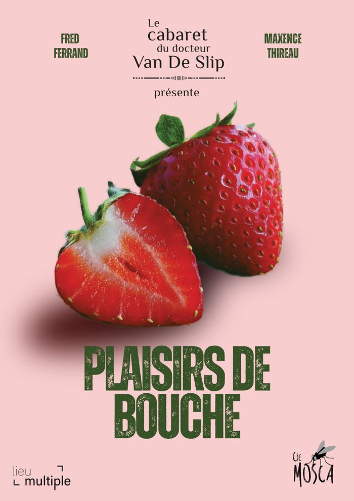 Proposition de spectacle pour le catalogue culturel du Loiret