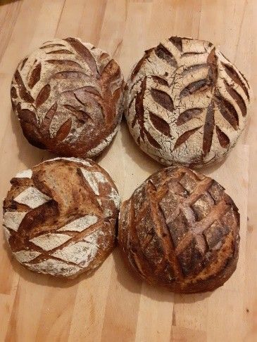 Stage Pain au levain