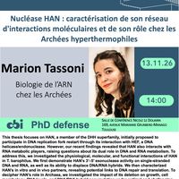 PhD Marion Tassoni - Nucléase HAN : caractérisation de son réseau d'interactions moléculaires et de son rôle chez les Archées hyperthermophiles