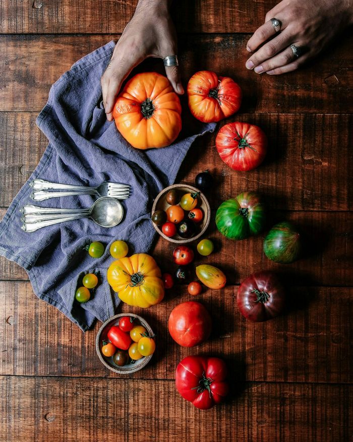 Pleine saison : c'est la récolte au potager !