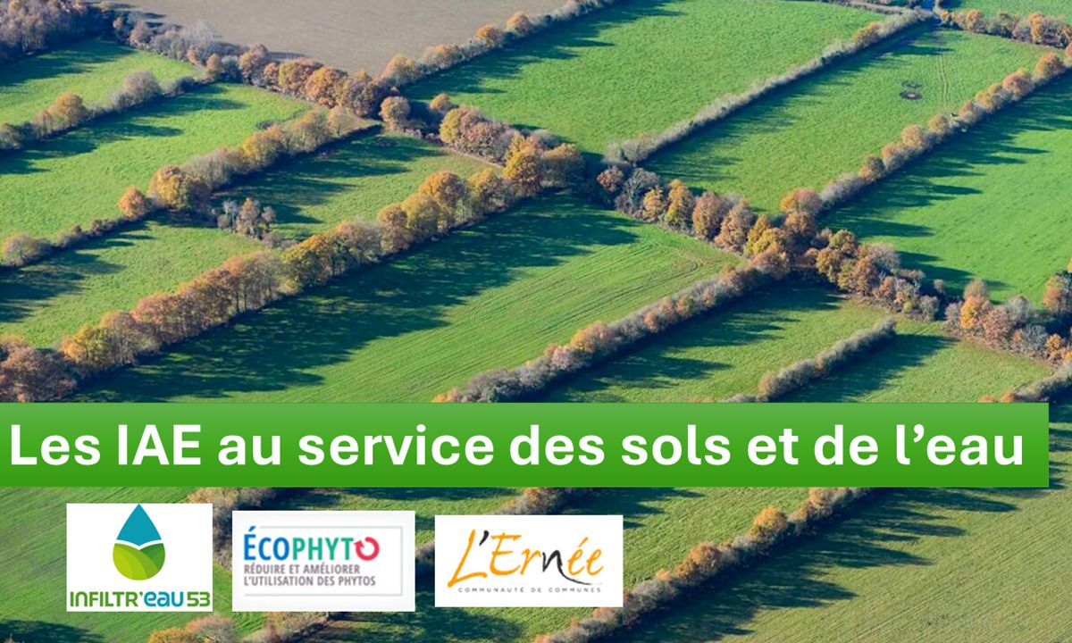 Les Infrastructures agroécologiques (IAE) au service des sols et de l’eau (53)