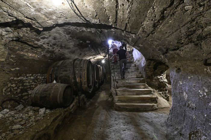 Histoire de la vigne en Bassey Auvergne
