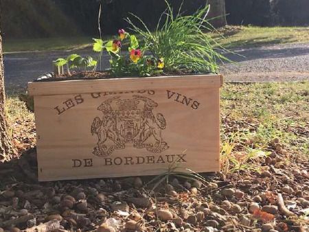 Jardinière autonome en eau