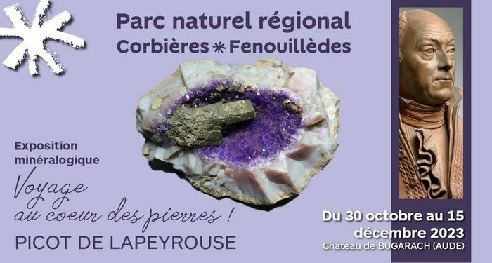 Picot de Lapeyrouse : voyage au cœur des pierres