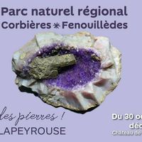 Picot de Lapeyrouse : voyage au cœur des pierres