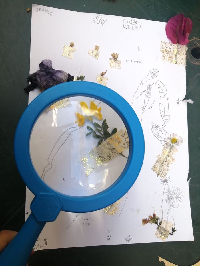 Apprenez à identifier les plantes sauvages des rue de Ménilmontant !