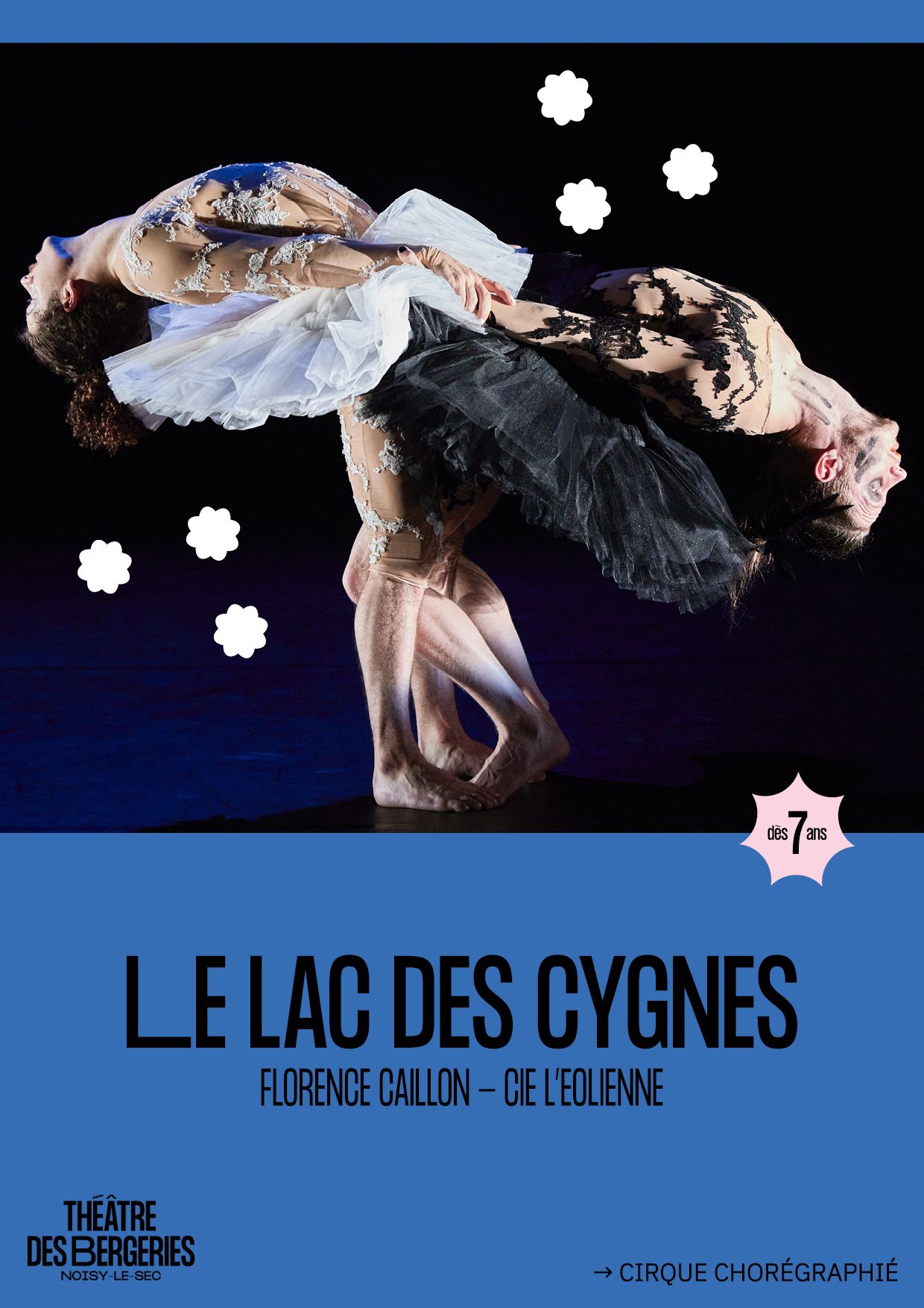Le Lac des cygnes