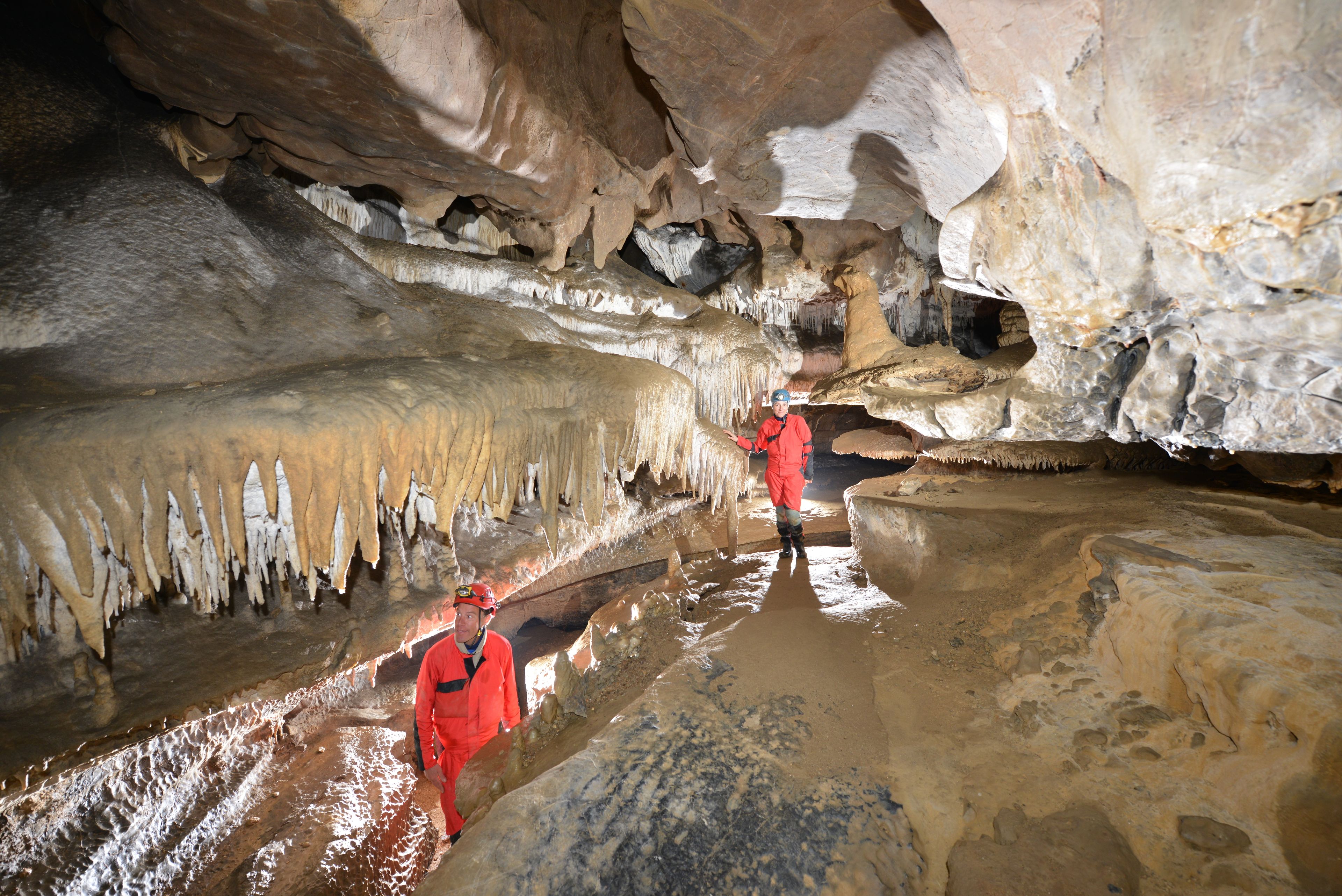 decouverte du monde souterrain