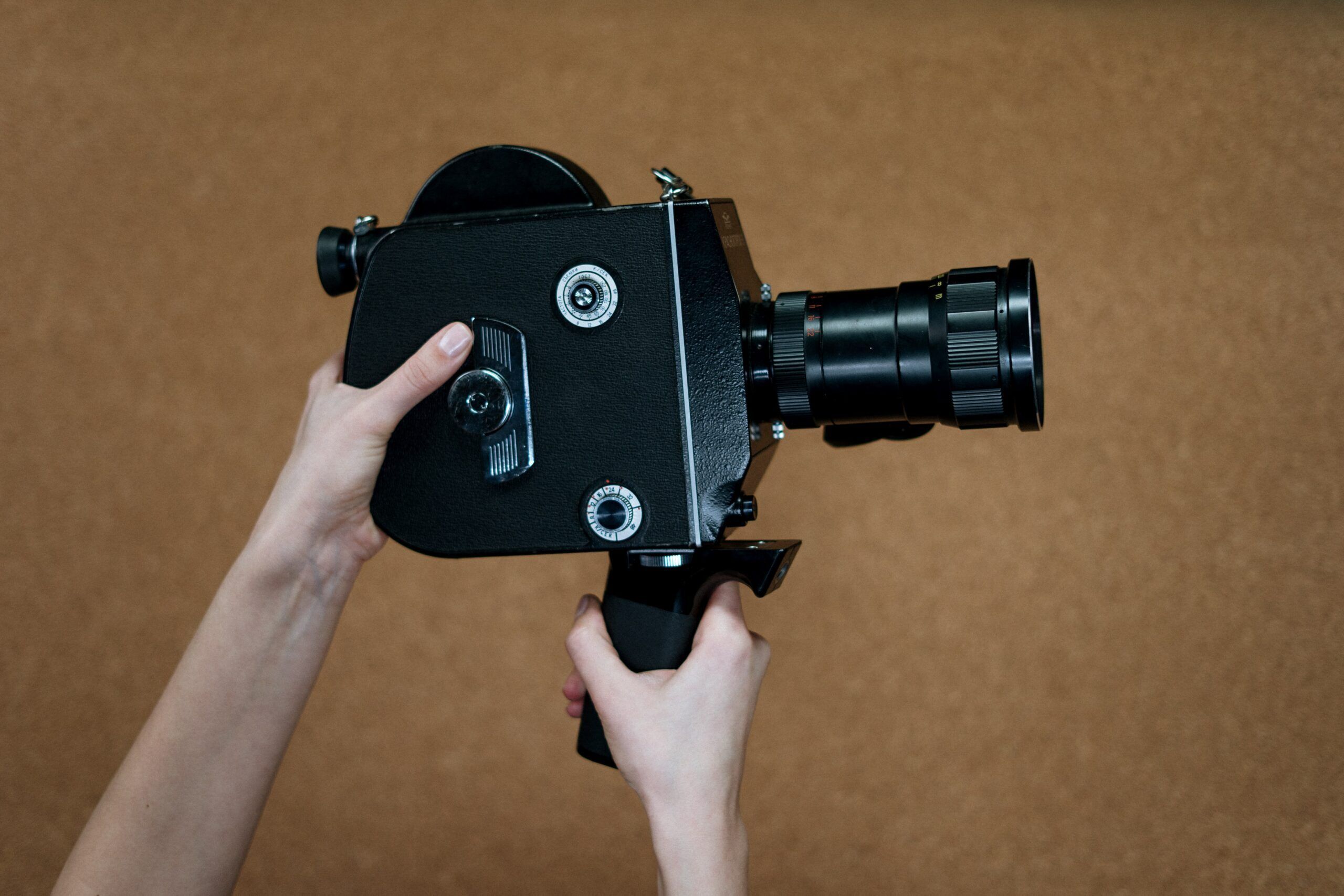 Ciné malins : drôles de petites bêtes
