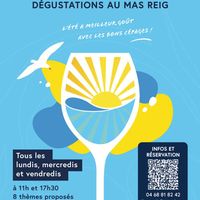 Ateliers d'été - dégustations au Mas Reig