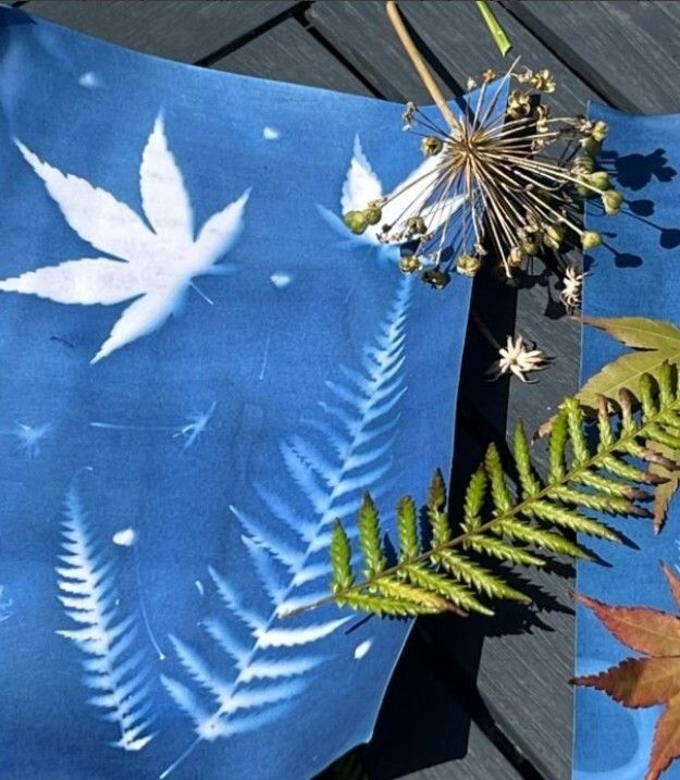 Atelier de cyanotype - En famille à partir de 8 ans