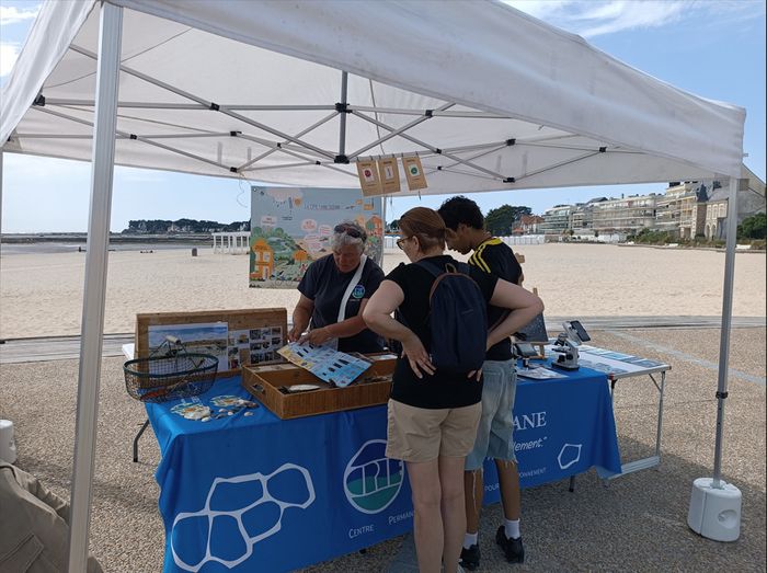 Stand "laisse de mer" à Piriac-sur-Mer