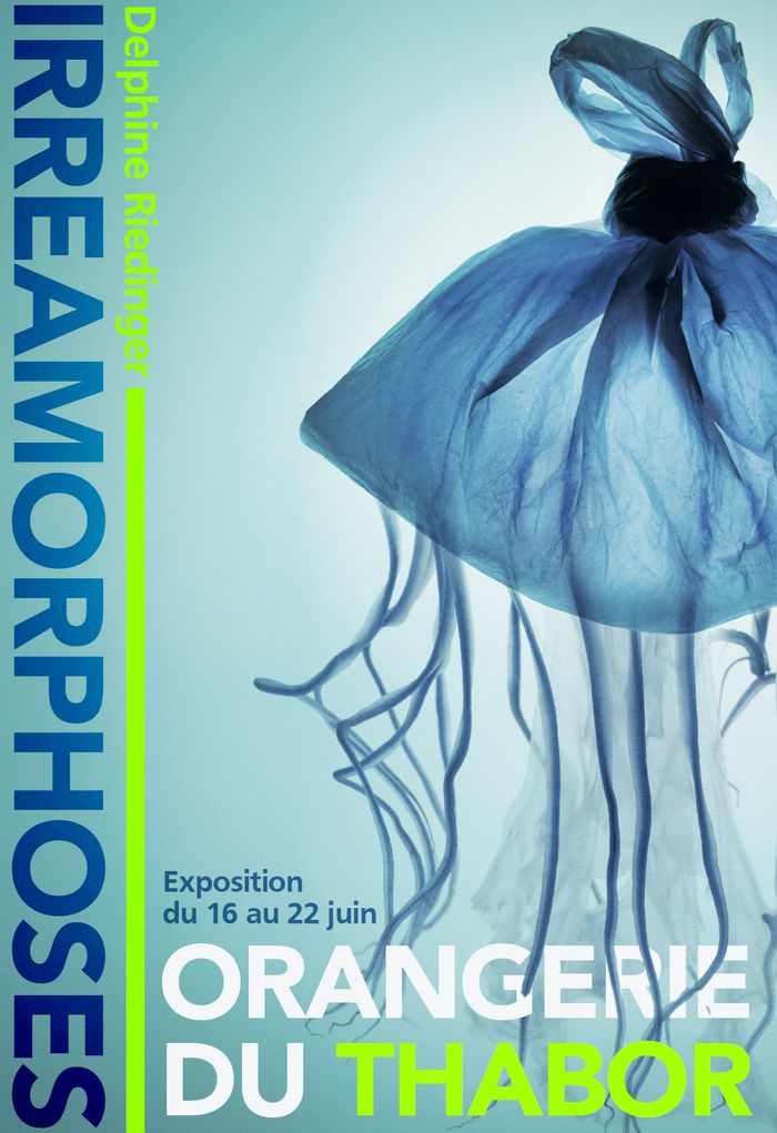 Irréamorphoses - Delphine Riedinger