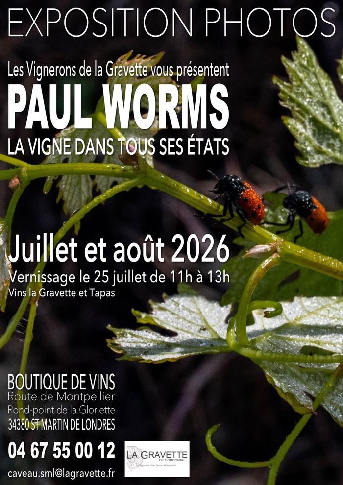 Expo Photos : "La Vigne dans tous ses Etats"