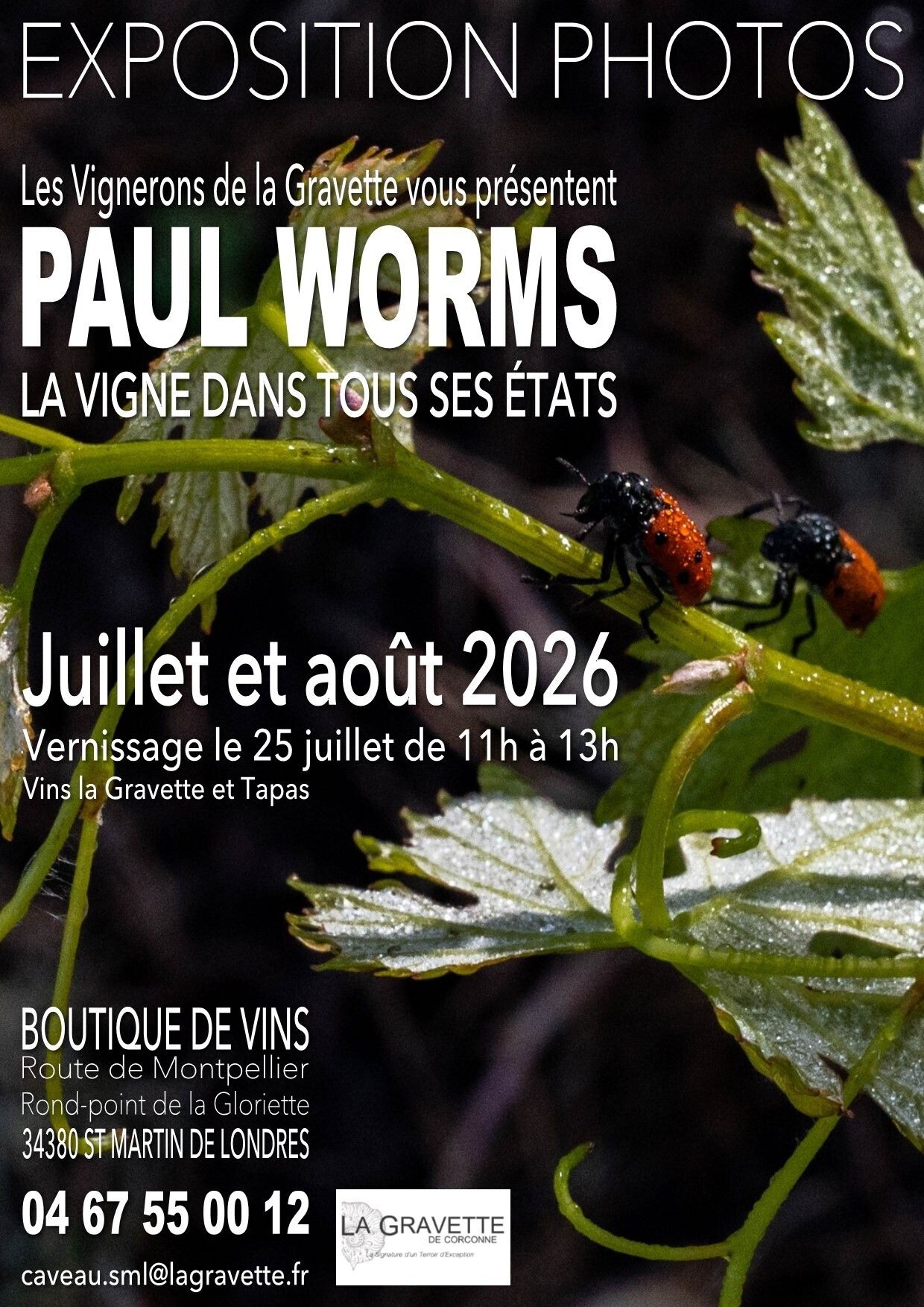 Expo Photos : "La Vigne dans tous ses Etats"