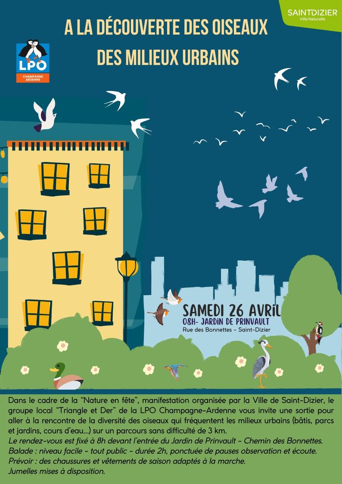 Balade à la découverte des oiseaux des milieux urbains