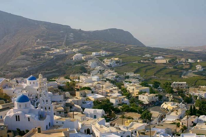Projection : Des vignes et des Hommes : Santorin