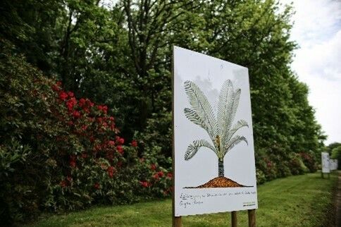 Exposition de carnets de croquis du botaniste Francis Hallé au Jardin des Plantes