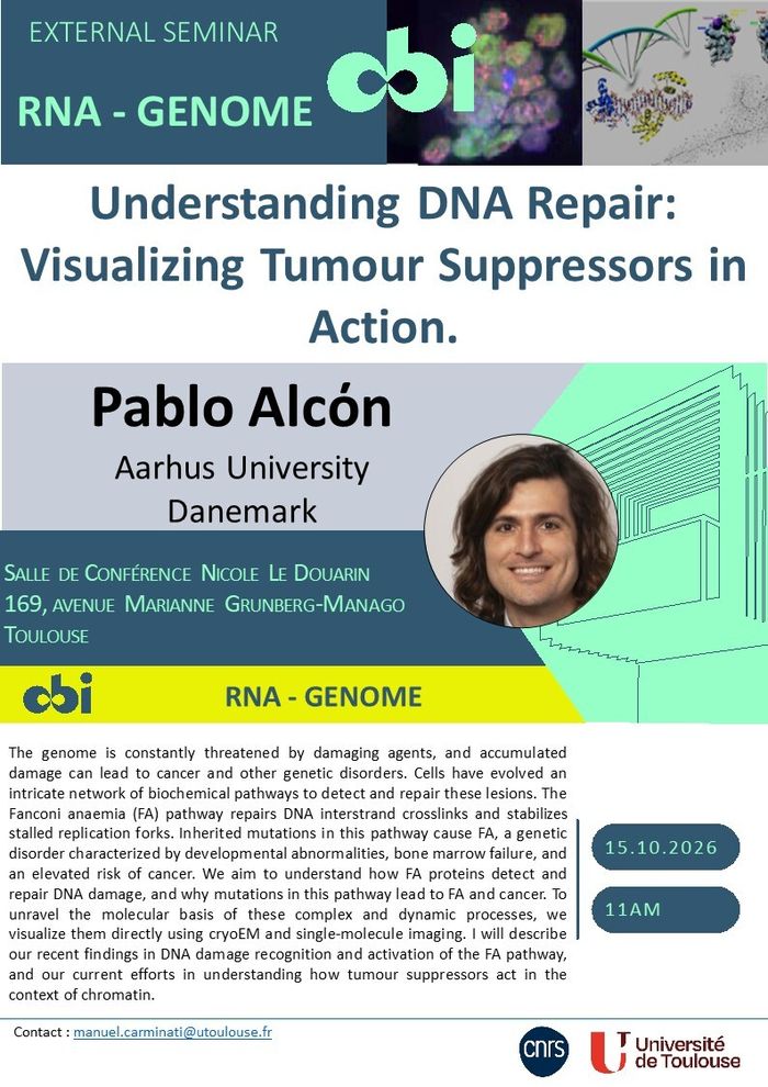 Understanding DNA Repair: Visualizing Tumour Suppressors in Action.