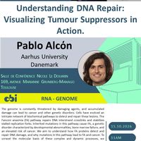 Understanding DNA Repair: Visualizing Tumour Suppressors in Action.