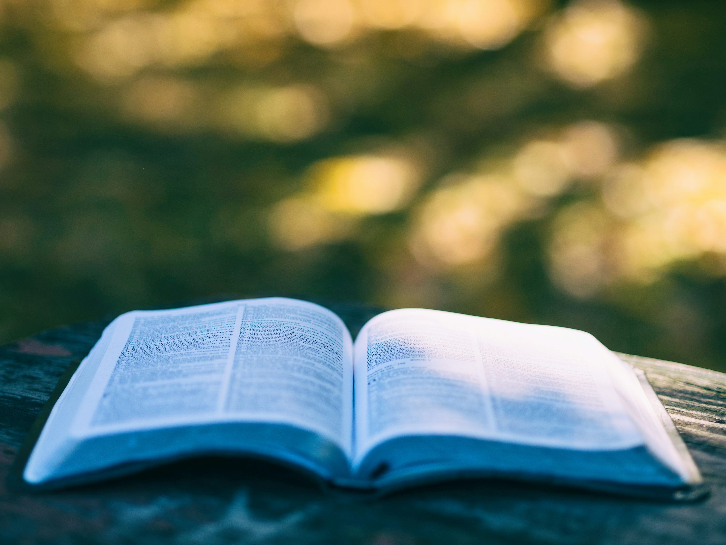 Lectures au jardin - 3 ans et plus
