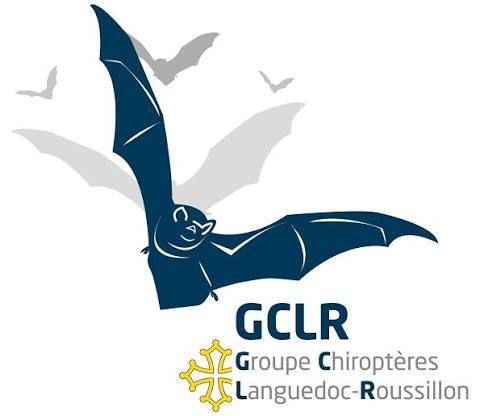 Animation chauves-souris