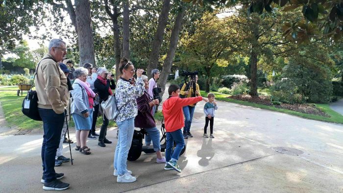 Sortie nature : Balade ornithologique au Jardin des Plantes de Nantes
