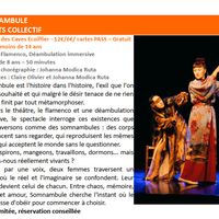 Festival des Vendanges d'Octobre - Théâtre - Somnambule