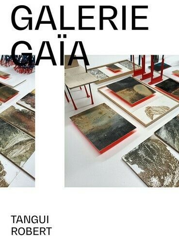 Exposition de Tangui Robert