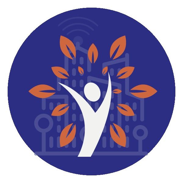 Dynamiser le commerce de centre-ville en un clic ? Le numérique au service du commerce de centre-ville
