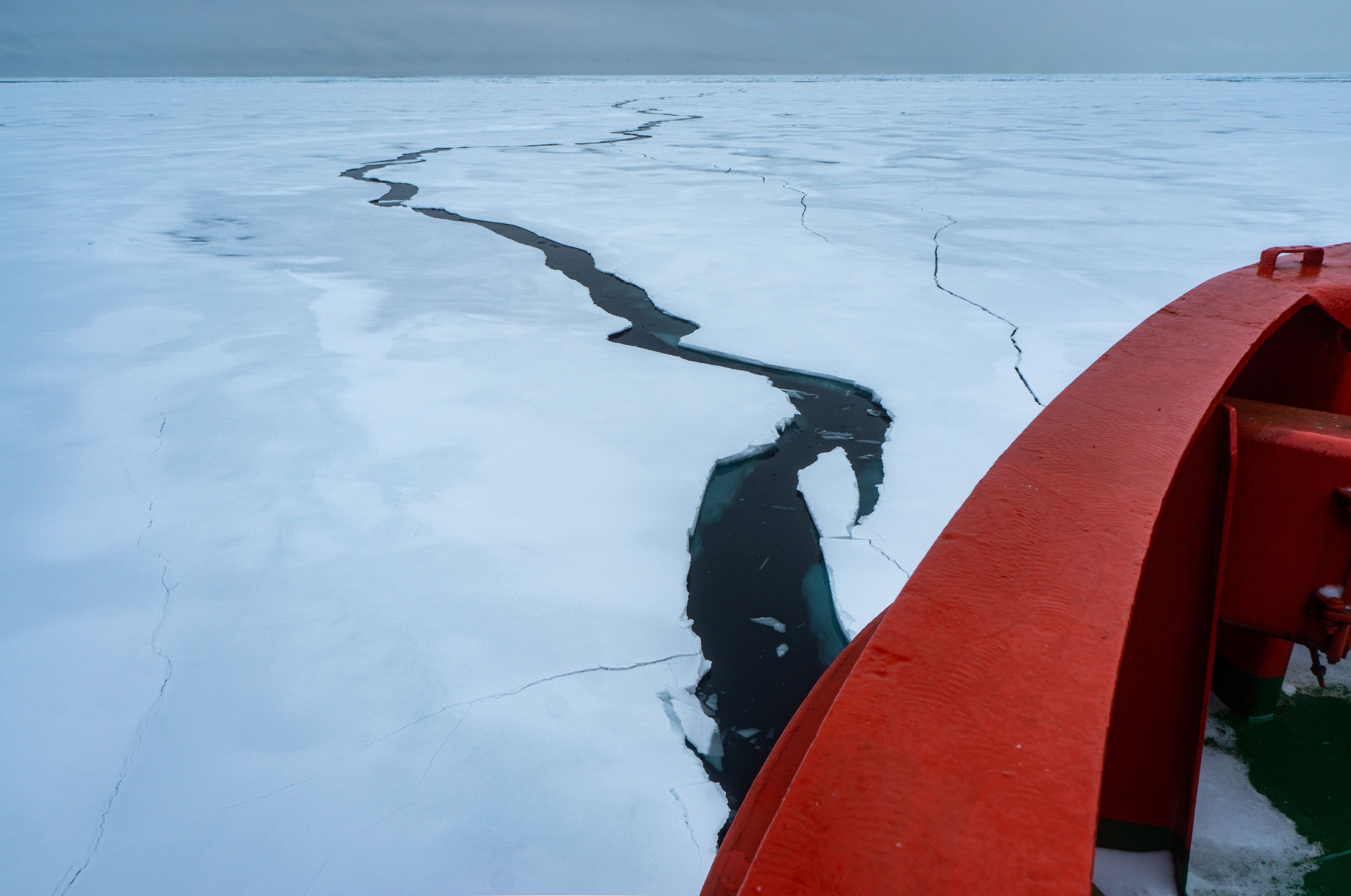 Exposition collective - Arctique les routes du Grand Nord