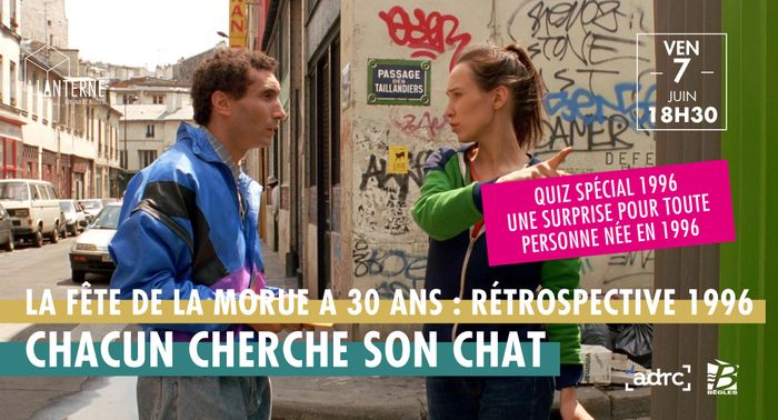 Retour en 1996 / Chacun cherche son chat
