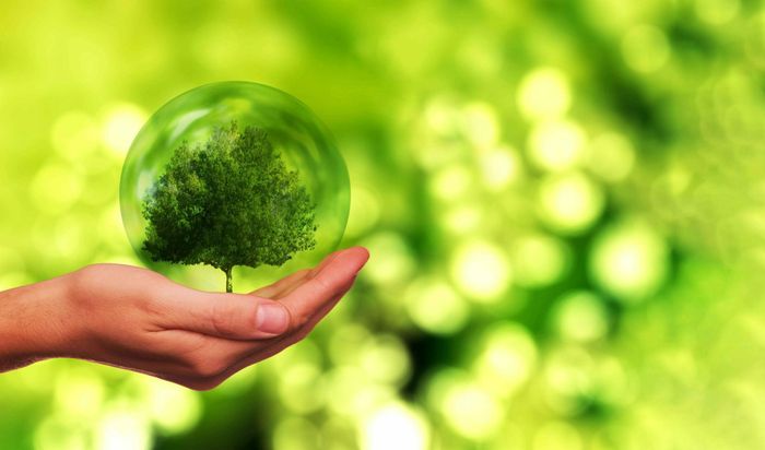 Forum de l'environnement