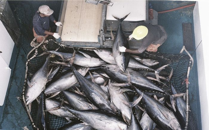 Visuel évènement