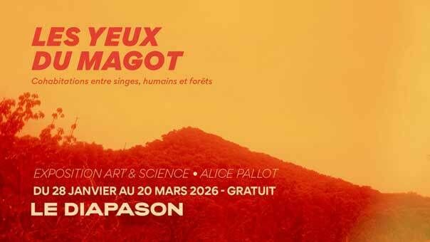 Exposition Art & Science par Alice Pallot